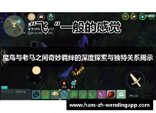 魔鸟与老马之间奇妙羁绊的深度探索与独特关系揭示 魔鸟与老马之间奇妙羁绊的深度探索与独特关系揭示