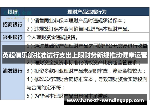英超俱乐部批准试行支出上限财务新规推动健康运营 英超俱乐部批准试行支出上限财务新规推动健康运营